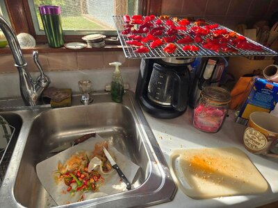 Serrano peppers, prepped for dehydratinbg, 10-05-25, #1.jpg