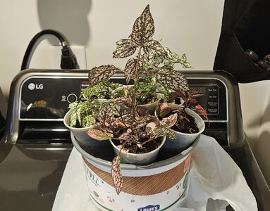 20251008_184928.jpg