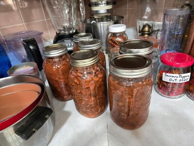 Beans, extra, 10-11-25, #1.jpg