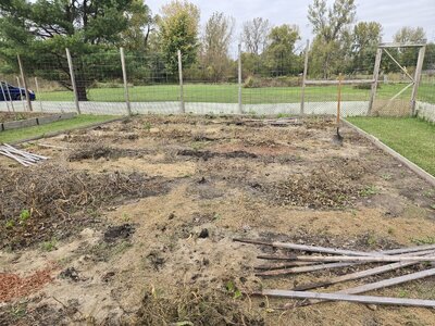 The Supports Are Coming Down - 3.jpg