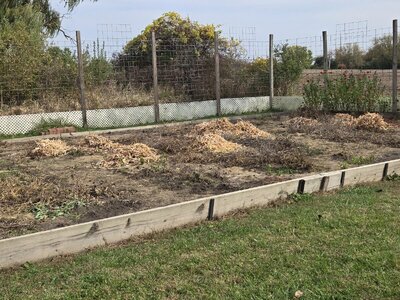 The Empty Pods Are Ready For Shredding - 5  .jpg