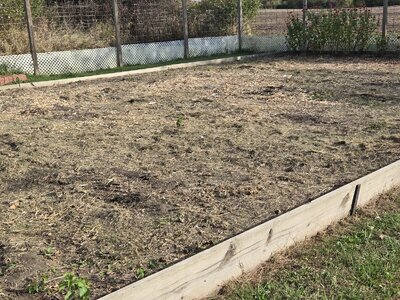 The Empty Pods Have Met The Lawnmower - 9.jpg