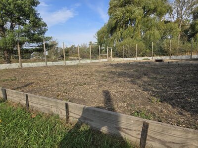 The Remains Now Waiting To Met The Soil. .jpg