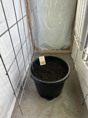 IMG_5020.jpeg