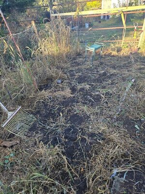 Garlic bed cleaned up 10-20-25.jpg