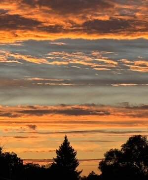 IMG_1430.jpeg