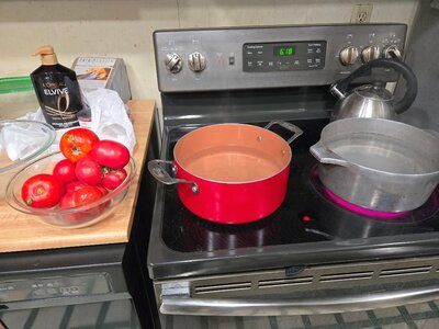 Tomato canning, 10-24-25.jpg