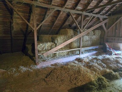 Old 2024 hay moved, barn swept, 10-24-25, #1.jpg