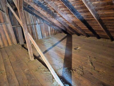 Old 2024 hay moved, barn swept, 10-24-25, #3.jpg