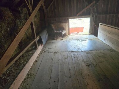 Old 2024 hay moved, barn swept, 10-24-25, #5.jpg