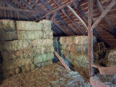 2025 Hay delivered & stacked, 10-25-25, #3.jpg
