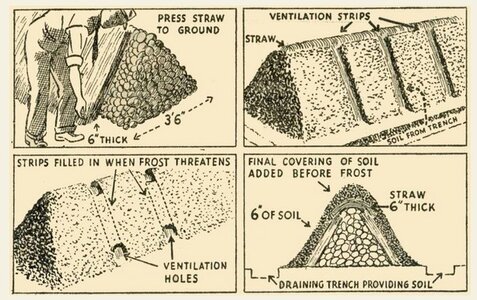 zclamp.jpg zclamp.jpg