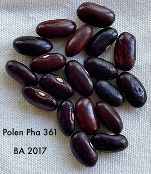 IMG_5411.jpeg IMG_5411.jpeg