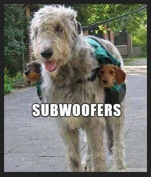 zsubwoofers.jpg