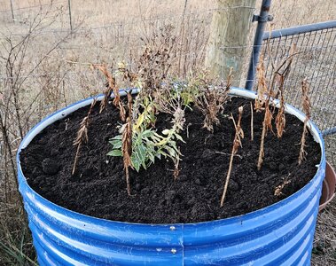 20251126_165726.jpg 20251126_165726.jpg