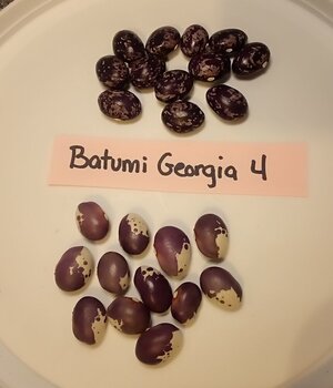 IMG_20260110_044931 (1).jpg