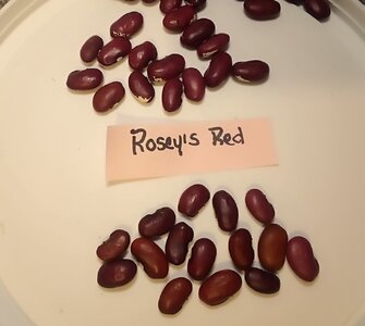 IMG_20260110_050628 (1).jpg