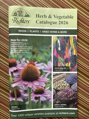 IMG_1498.jpeg IMG_1498.jpeg