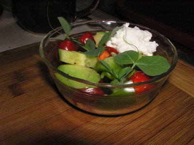 NightlySaladWithHomegrownPeaShoots.JPG