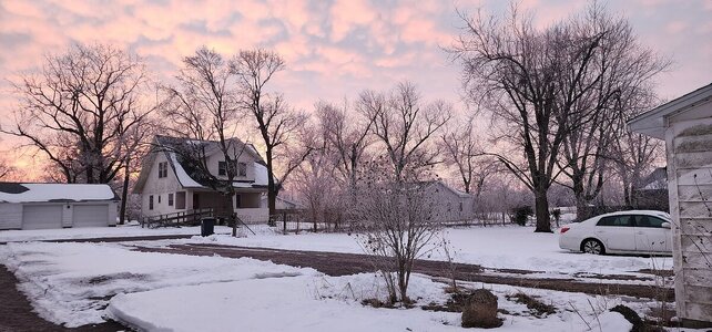 Hoarfrost, 02-25-26, #1.jpg