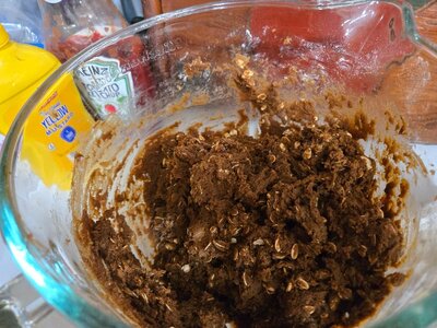 Oatmeal cookie mix, 02-11-26 #1.jpg