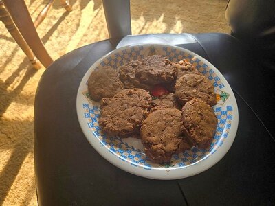 Oatmeal cookies baked 02-11-26.jpg