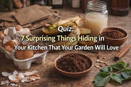 Image Feb 12, 2026, 07_26_28 AM.png