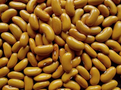 Paynesville Amber 2.jpg