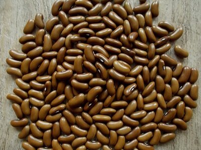 Redland Pioneer 1.jpg