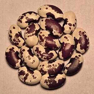 1500 Year Old Cave.jpg