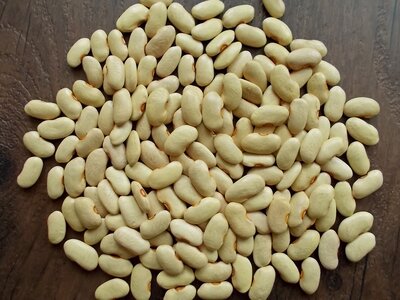 Bonel di Fonzaso 1.jpg