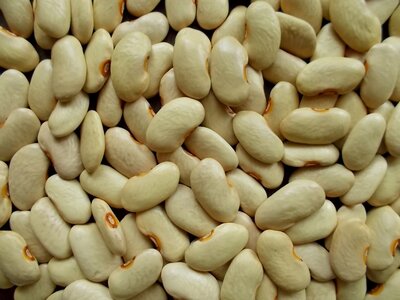 Bonel di Fonzaso 2.jpg Bonel di Fonzaso 2.jpg