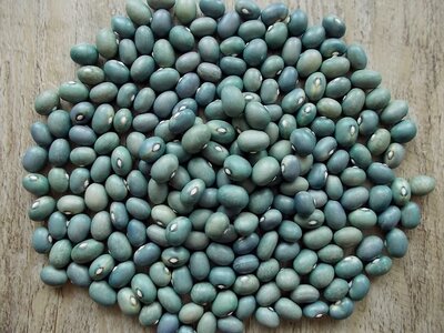 Zilie Hameleoni 1.jpg Zilie Hameleoni 1.jpg