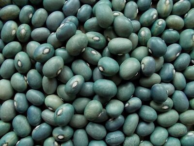 Zilie Hameleoni 2.jpg