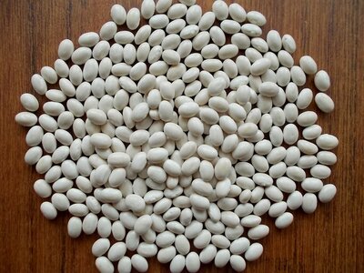 Mountaineer White Half-Runner 1.jpg Mountaineer White Half-Runner 1.jpg