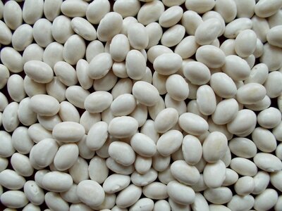 Mountaineer White Half-Runner 2.jpg