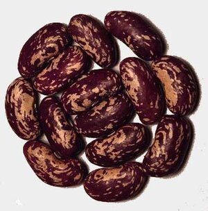 Anakin Kuvali Giant.jpg