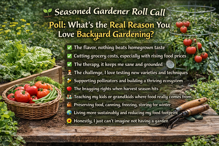 Image Feb 20, 2026, 04_45_54 PM.png