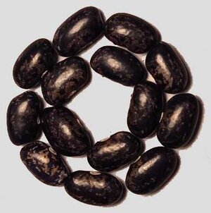 Batumi Georgia 2 OT.jpg