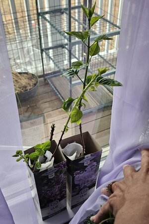 20260222_135954.jpg 20260222_135954.jpg