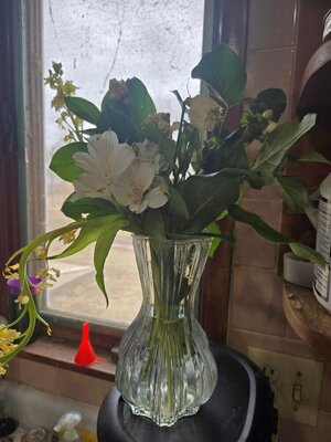 Condolence flowers, 02-22-26.jpg