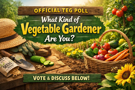 Image Feb 27, 2026, 12_28_43 PM.png