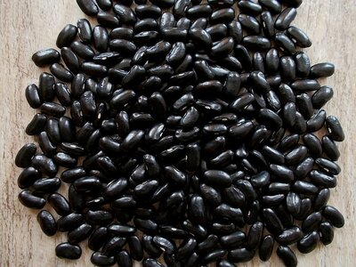 Gvnagei 1.jpg Gvnagei 1.jpg