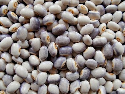 Purple Rain 2.jpg Purple Rain 2.jpg