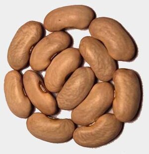 Cassie's Purple Pod.jpg