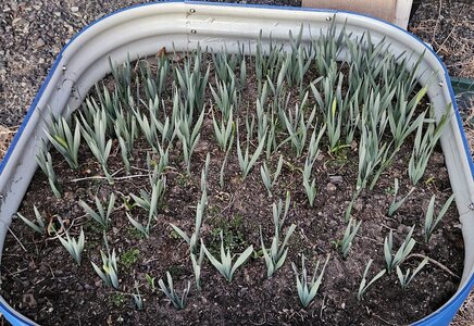 20260308_192500.jpg 20260308_192500.jpg