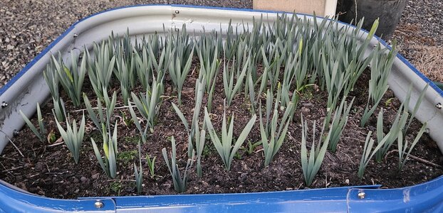 20260308_192529.jpg 20260308_192529.jpg