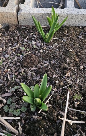 20260308_192628.jpg 20260308_192628.jpg