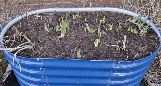 20260308_192703.jpg 20260308_192703.jpg