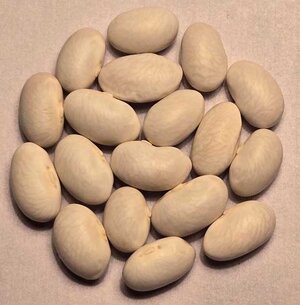 Deseronto Potato.jpg Deseronto Potato.jpg